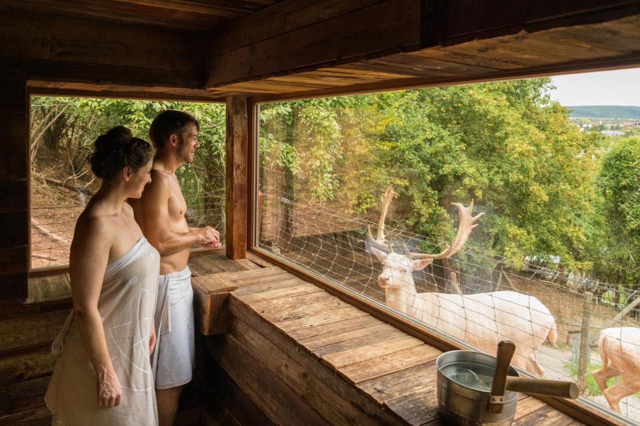 باد سوبرنهيم Bollants Spa Im Park المظهر الخارجي الصورة